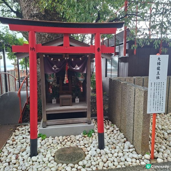 和歌山紀三井寺🍁打卡靚景🤭旅遊熱點分享📸