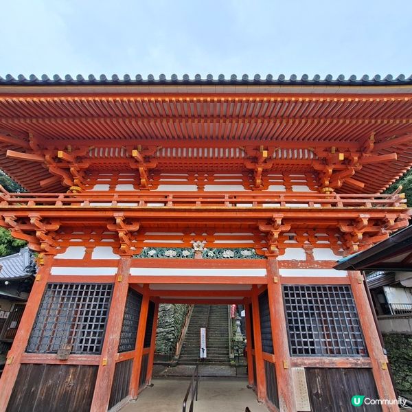 和歌山紀三井寺🍁打卡靚景🤭旅遊熱點分享📸