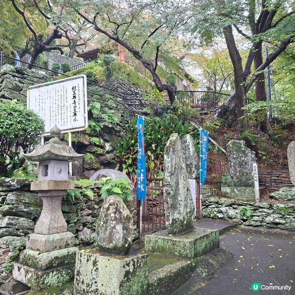 和歌山紀三井寺🍁打卡靚景🤭旅遊熱點分享📸