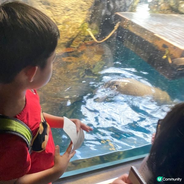 大阪海遊館🌊！親子遊必去！🐳📸