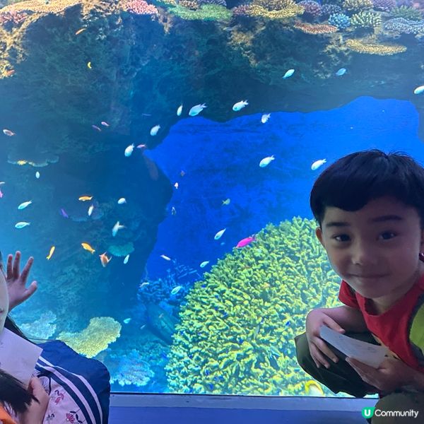 大阪海遊館🌊！親子遊必去！🐳📸