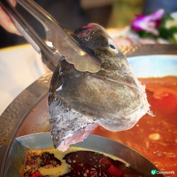 爆抵火鍋@譚魚頭