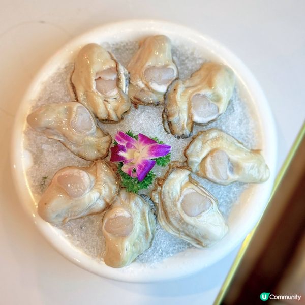 爆抵火鍋@譚魚頭