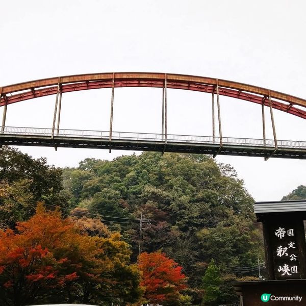 廣島紅葉🍁神龍湖！紅葉隧道超靚！😍