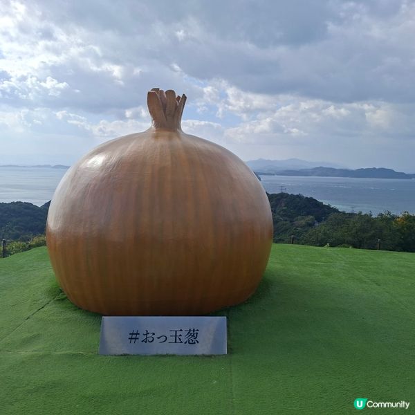 ✨️自駕遊日本🇯🇵淡路島洋蔥打卡攻略🧅📸