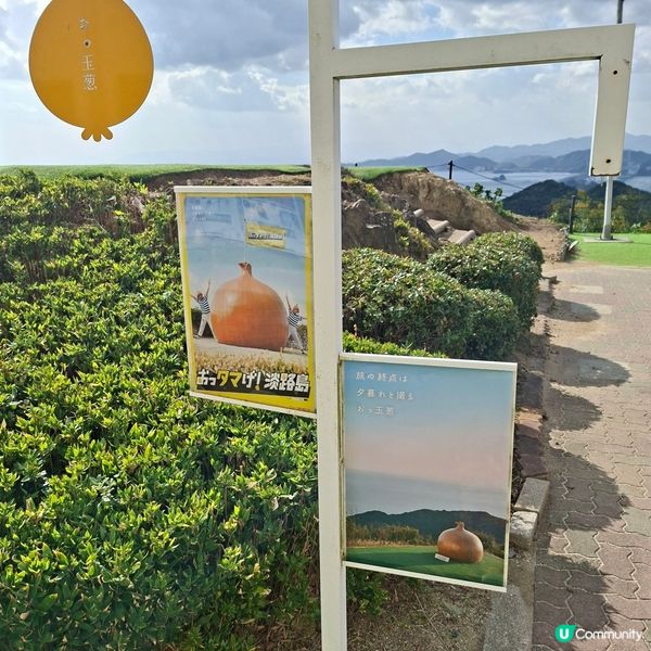 ✨️自駕遊日本🇯🇵淡路島洋蔥打卡攻略🧅📸