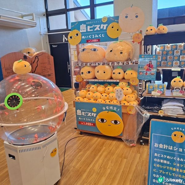 ✨️自駕遊日本🇯🇵淡路島洋蔥打卡攻略🧅📸