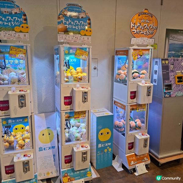 ✨️自駕遊日本🇯🇵淡路島洋蔥打卡攻略🧅📸