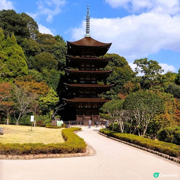 山口紅葉🍁琉璃光寺！📸 必去！