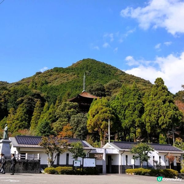 山口紅葉🍁琉璃光寺！📸 必去！