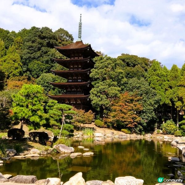 山口紅葉🍁琉璃光寺！📸 必去！
