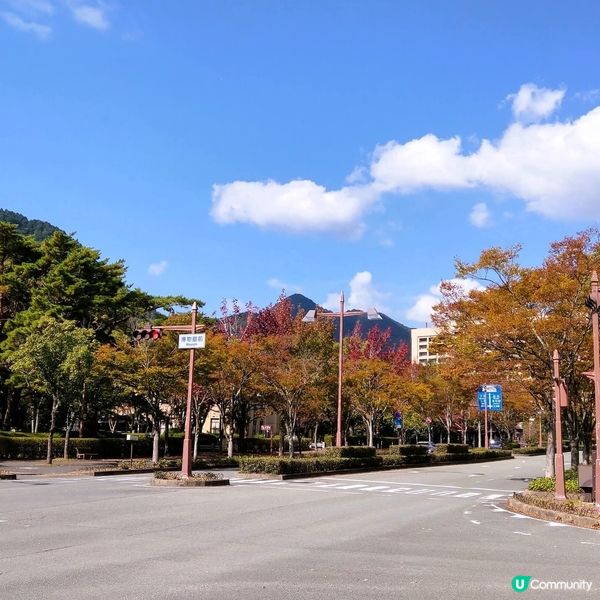 山口紅葉🍁琉璃光寺！📸 必去！