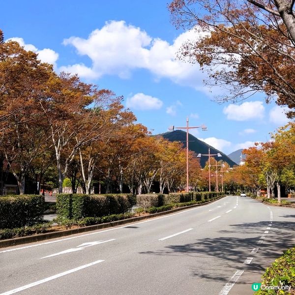 山口紅葉🍁琉璃光寺！📸 必去！