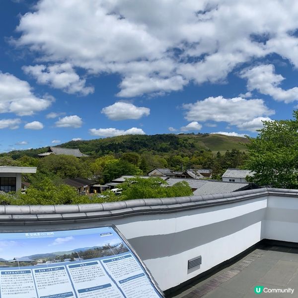 奈良親子遊！🦌摸千年歷史🏯！