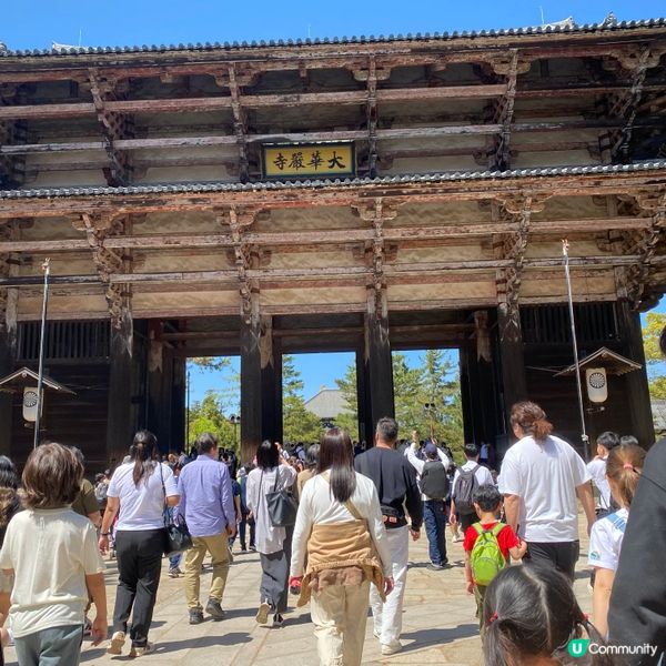 奈良親子遊！🦌摸千年歷史🏯！