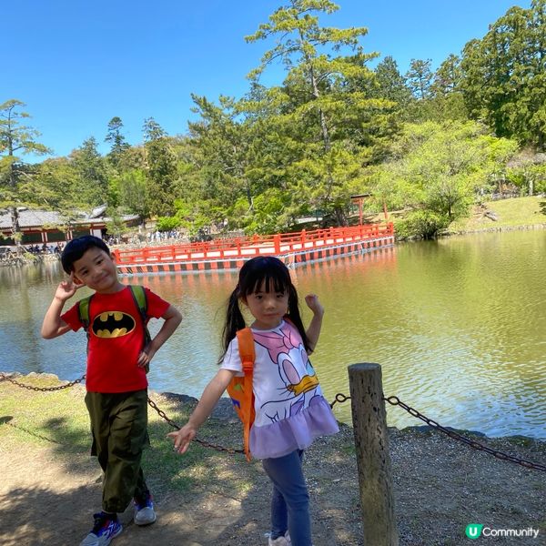 奈良親子遊！🦌摸千年歷史🏯！