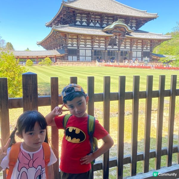 奈良親子遊！🦌摸千年歷史🏯！