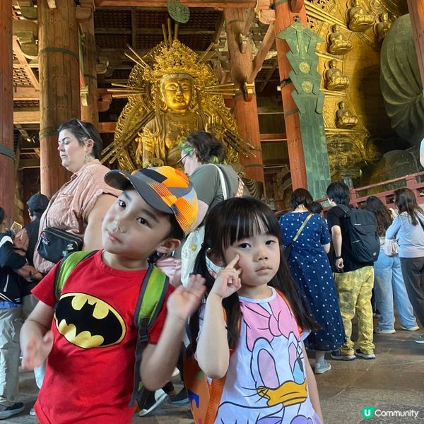 奈良親子遊！🦌摸千年歷史🏯！