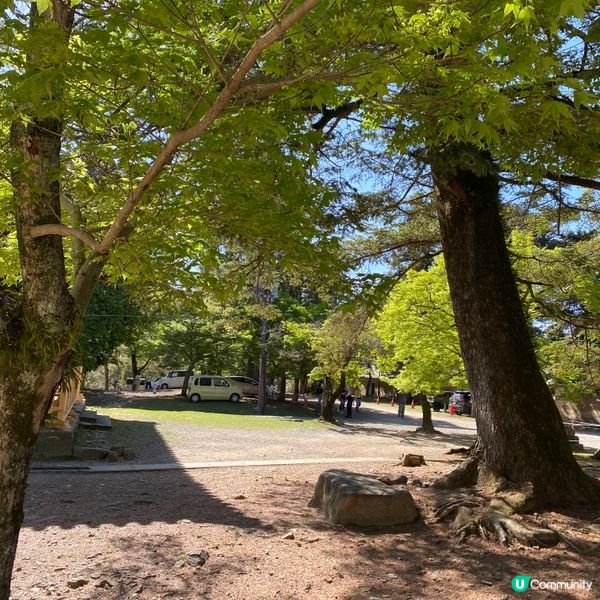 奈良親子遊！🦌摸千年歷史🏯！