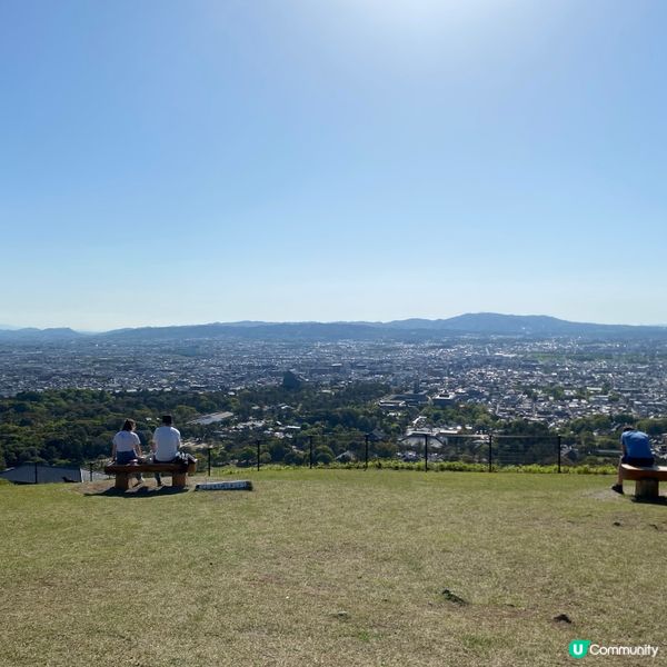奈良親子遊！🦌摸千年歷史🏯！