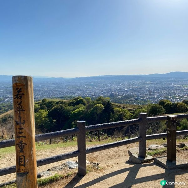 奈良親子遊！🦌摸千年歷史🏯！