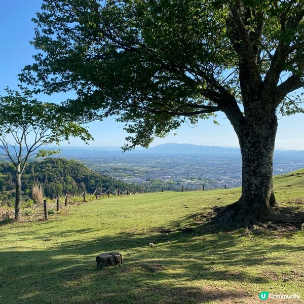 奈良親子遊！🦌摸千年歷史🏯！
