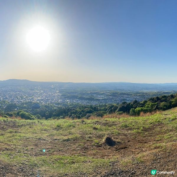 奈良親子遊！🦌摸千年歷史🏯！