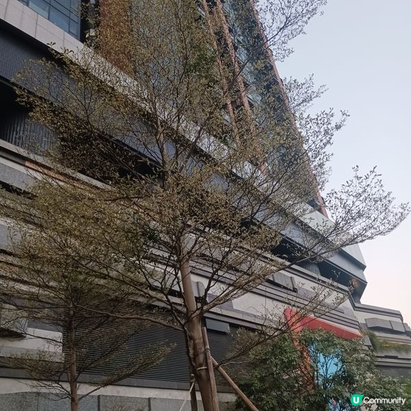 🌸🌸圍方一個小角樂既公圍🌸🌸~