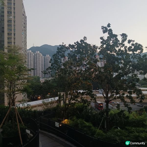 🌸🌸圍方一個小角樂既公圍🌸🌸~