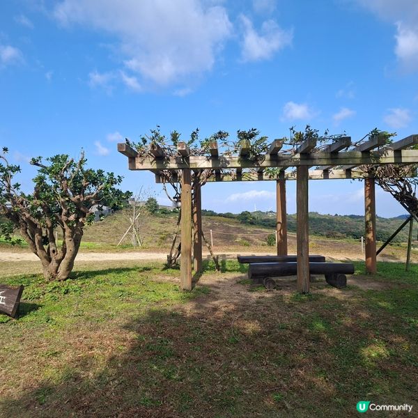 ✨️淡路島花園打卡攻略🌸 超靚花海等你嚟🤩 