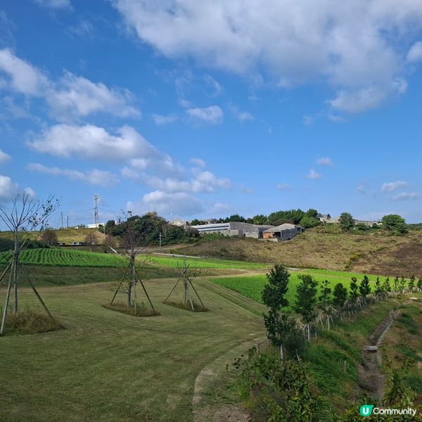 ✨️淡路島花園打卡攻略🌸 超靚花海等你嚟🤩 