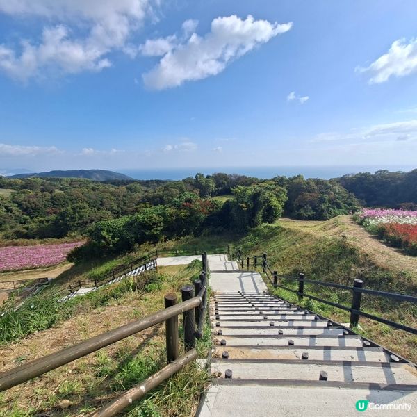✨️淡路島花園打卡攻略🌸 超靚花海等你嚟🤩 