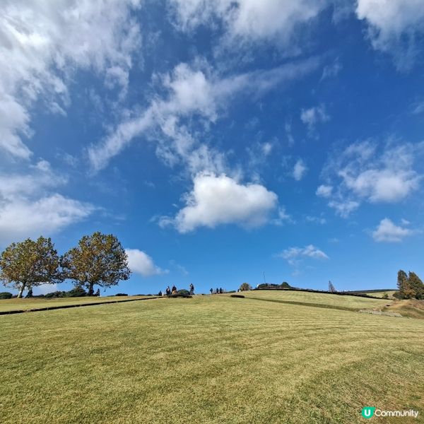 ✨️淡路島花園打卡攻略🌸 超靚花海等你嚟🤩 