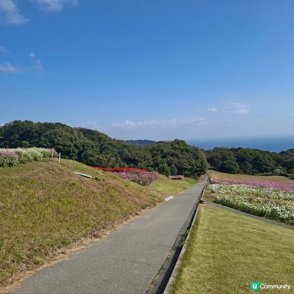 ✨️淡路島花園打卡攻略🌸 超靚花海等你嚟🤩 