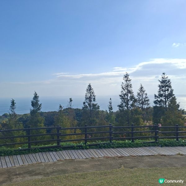 ✨️淡路島花園打卡攻略🌸 超靚花海等你嚟🤩 