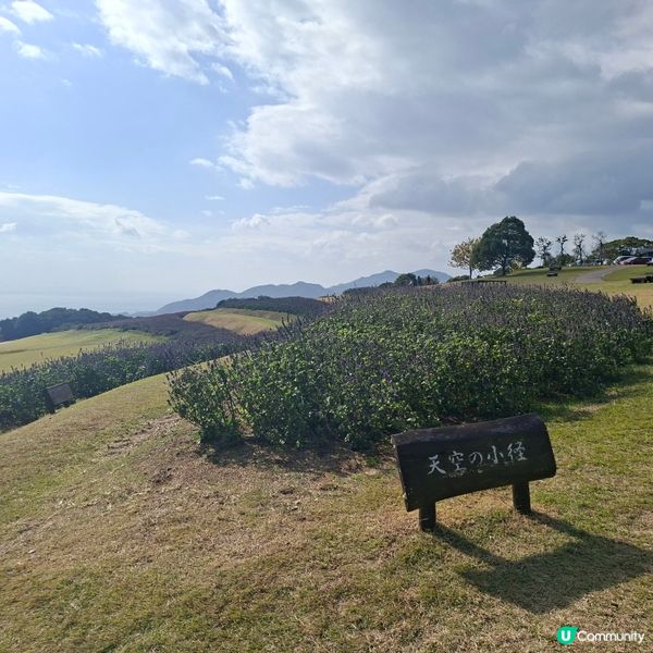 ✨️淡路島花園打卡攻略🌸 超靚花海等你嚟🤩 