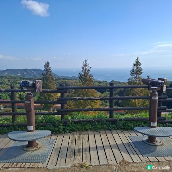 ✨️淡路島花園打卡攻略🌸 超靚花海等你嚟🤩 