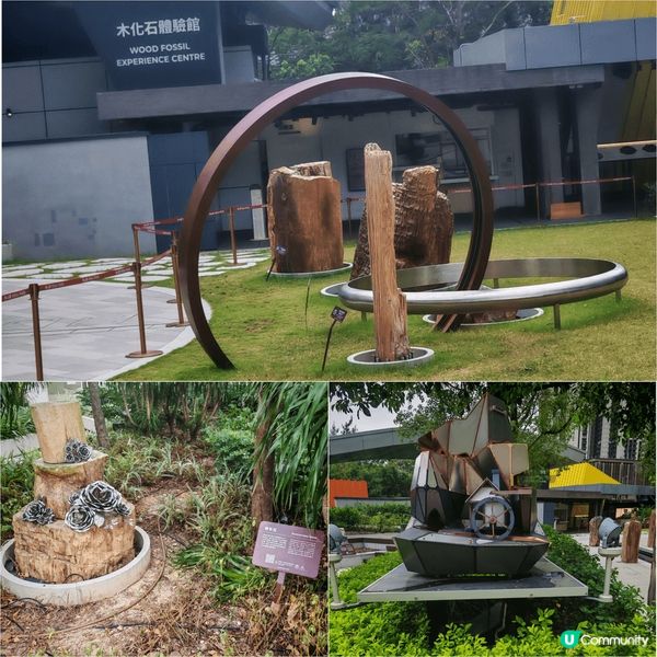 我會介紹如心花園嘅木化石體驗館, 地點方便就腳, 休閒好去處...