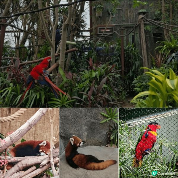 我會介紹去海洋公園, 除咗大熊貓,其實仲有好多機動遊戲, 企...