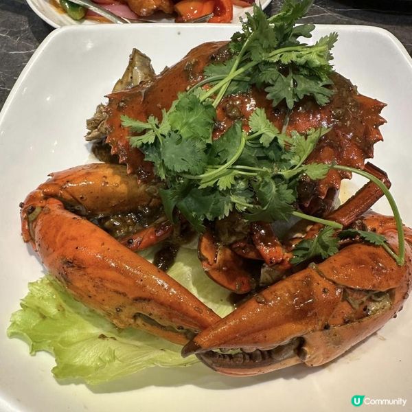 😋肉質飽滿💦超惹味星洲黑胡椒蟹🦀