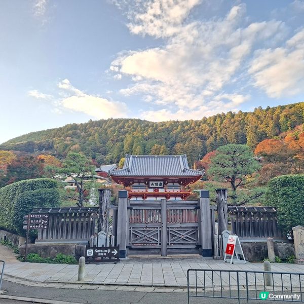 ✨️勝尾寺達摩寺⛩️大阪必去打卡好去處介紹📸💕