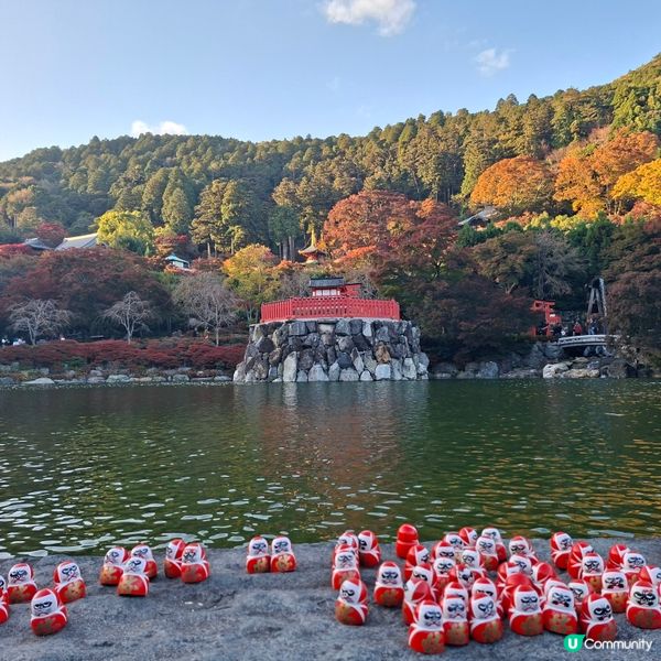 ✨️勝尾寺達摩寺⛩️大阪必去打卡好去處介紹📸💕