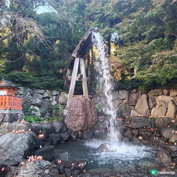 ✨️勝尾寺達摩寺⛩️大阪必去打卡好去處介紹📸💕