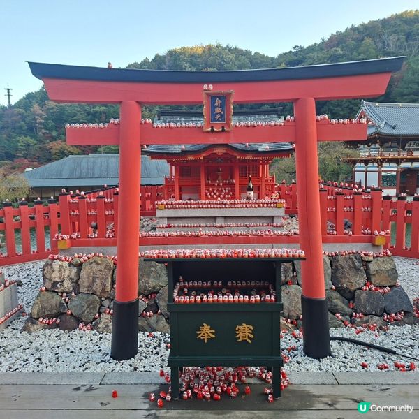 ✨️勝尾寺達摩寺⛩️大阪必去打卡好去處介紹📸💕