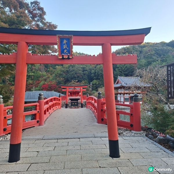 ✨️勝尾寺達摩寺⛩️大阪必去打卡好去處介紹📸💕