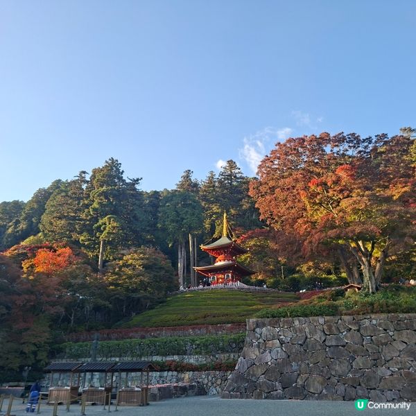 ✨️勝尾寺達摩寺⛩️大阪必去打卡好去處介紹📸💕