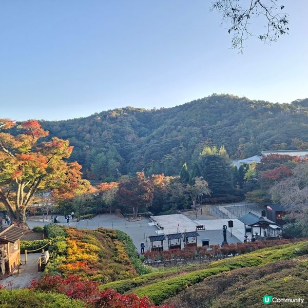 ✨️勝尾寺達摩寺⛩️大阪必去打卡好去處介紹📸💕