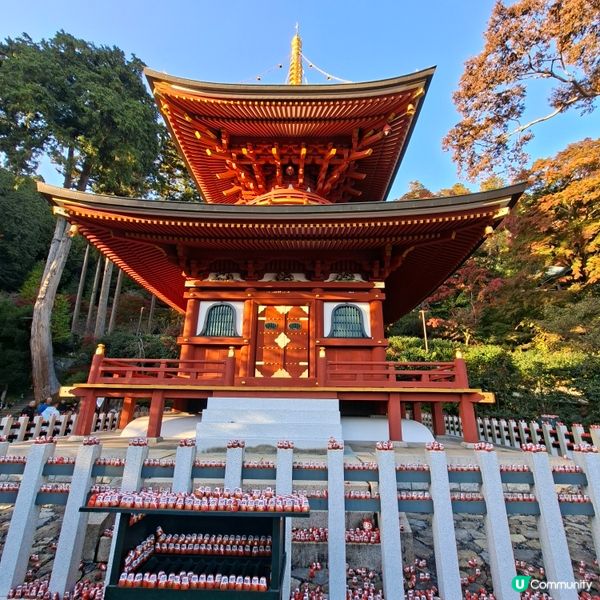 ✨️勝尾寺達摩寺⛩️大阪必去打卡好去處介紹📸💕