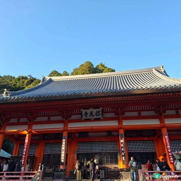 ✨️勝尾寺達摩寺⛩️大阪必去打卡好去處介紹📸💕