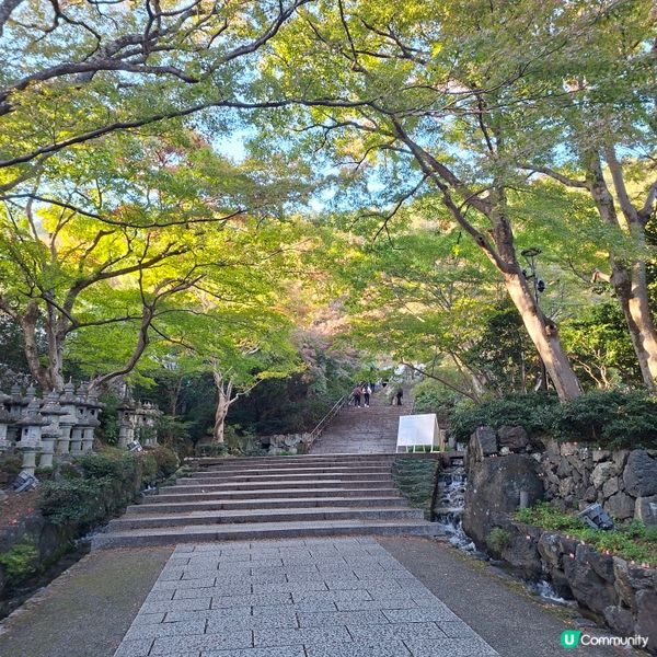 ✨️勝尾寺達摩寺⛩️大阪必去打卡好去處介紹📸💕